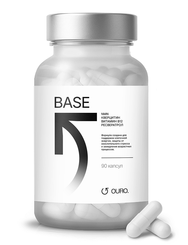 BASE
